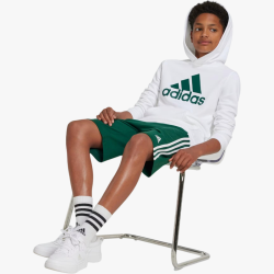 SUDADERA ADIDAS NIÑO HOODIE