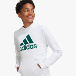 SUDADERA ADIDAS NIÑO HOODIE