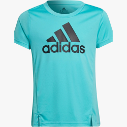 CAMISETA ADIDAS PERFORMANCE